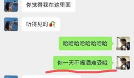 最新爆料谭竹聊天记录视频,揭秘背后惊人内幕