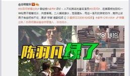 龙吟最新爆料视频大全,揭秘神秘势力动向与未来走向